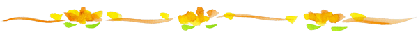 飾り線.png